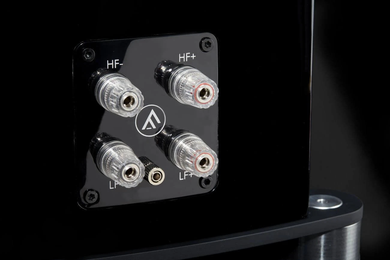 Fyne Audio F501 SP Standlautsprecher mit Koaxial-Chassis, A&V-Tip !